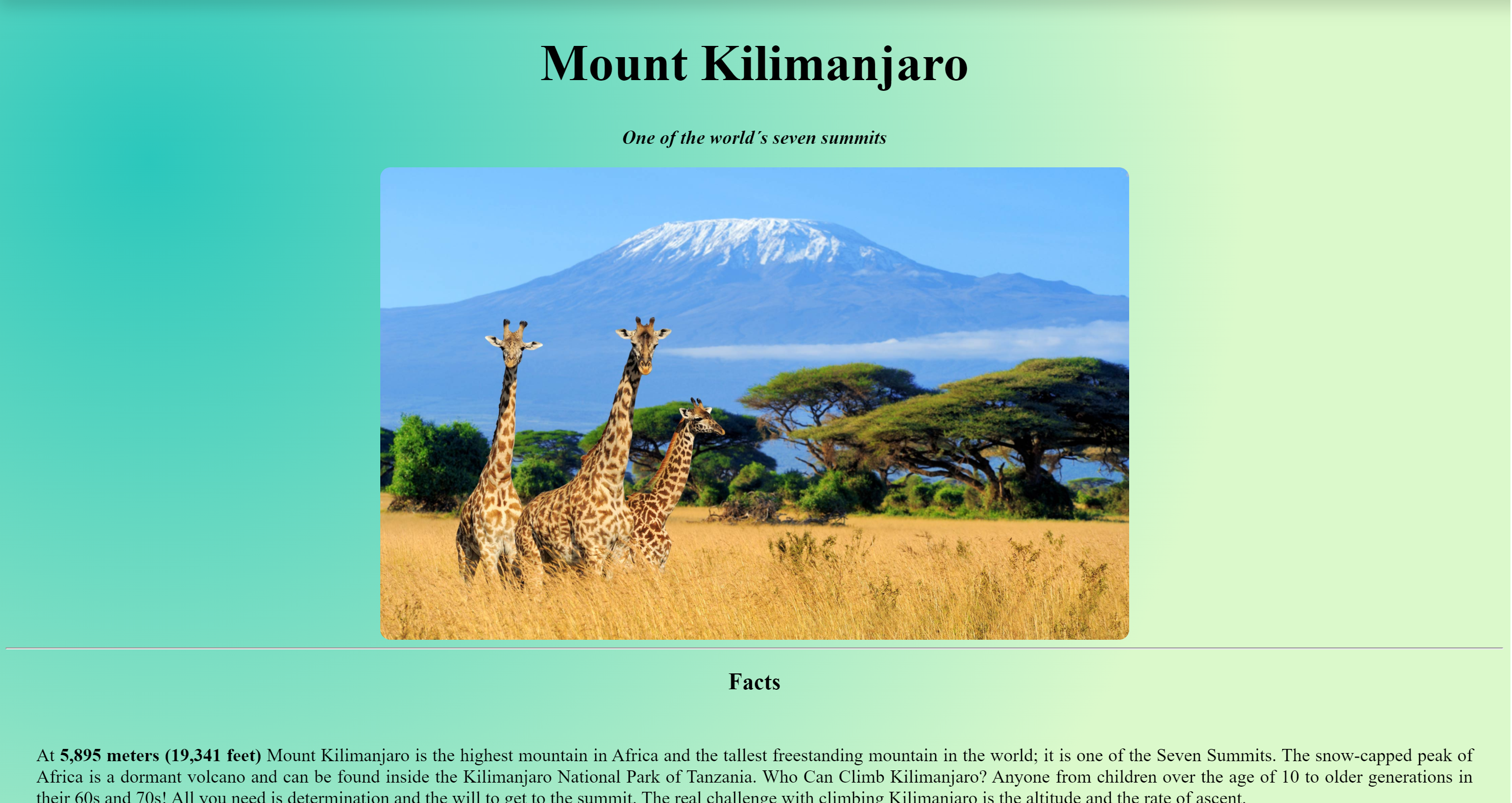 Kilimanjaro project